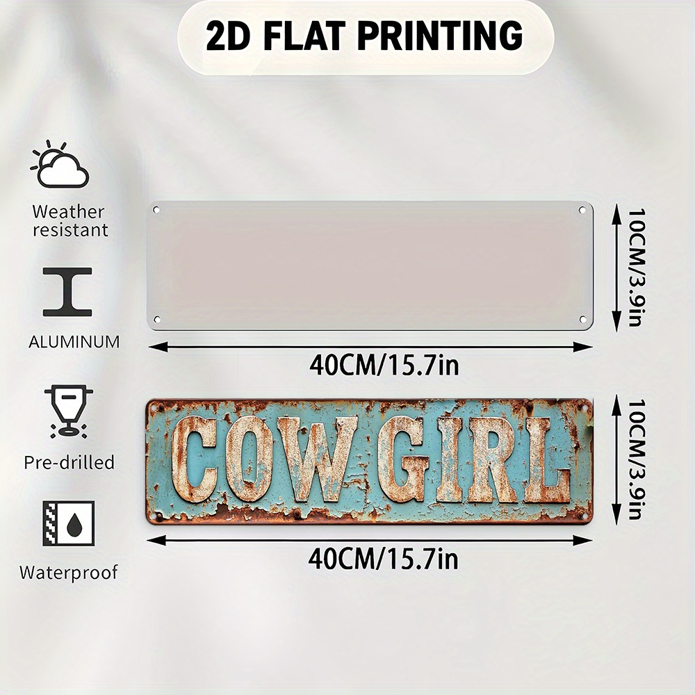 2D Metal Cowgirl Wall Art - Vi - Brass Weight Plate recension och pris