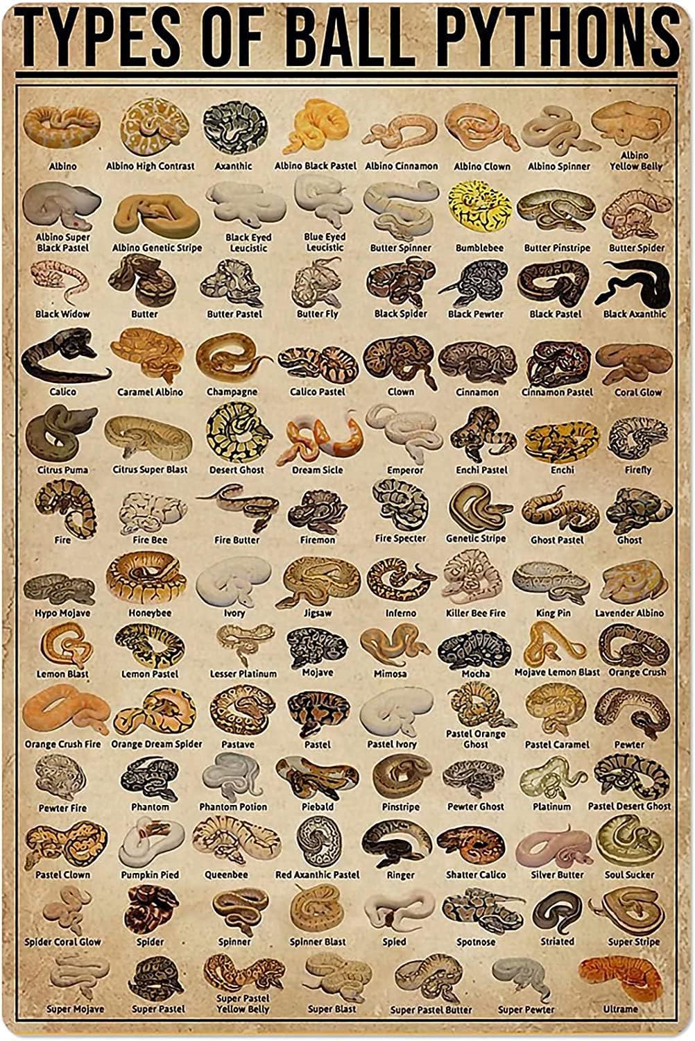 Retro Metal Tin Sign Types of  - Brass Weight Plate recension och pris